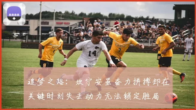 追梦之路：坎宁安虽奋力拼搏却在关键时刻失去动力无法锁定胜局